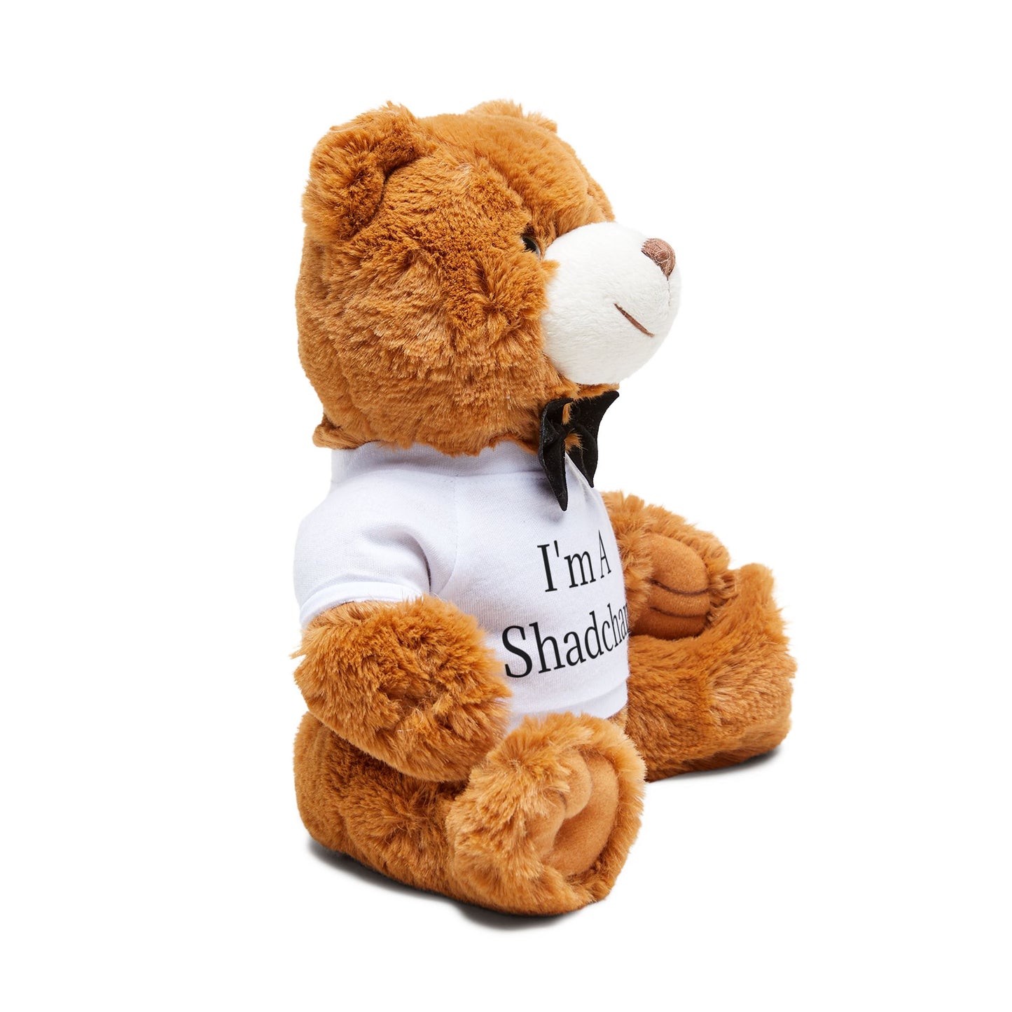 I’m A Shadchan Teddy