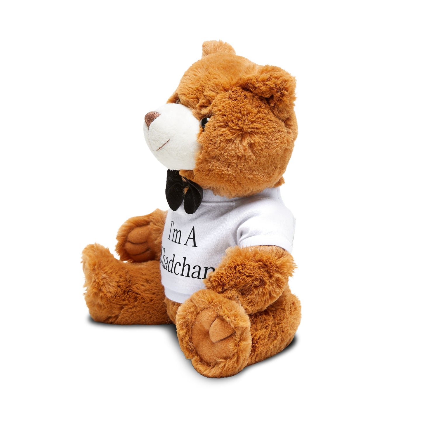 I’m A Shadchan Teddy