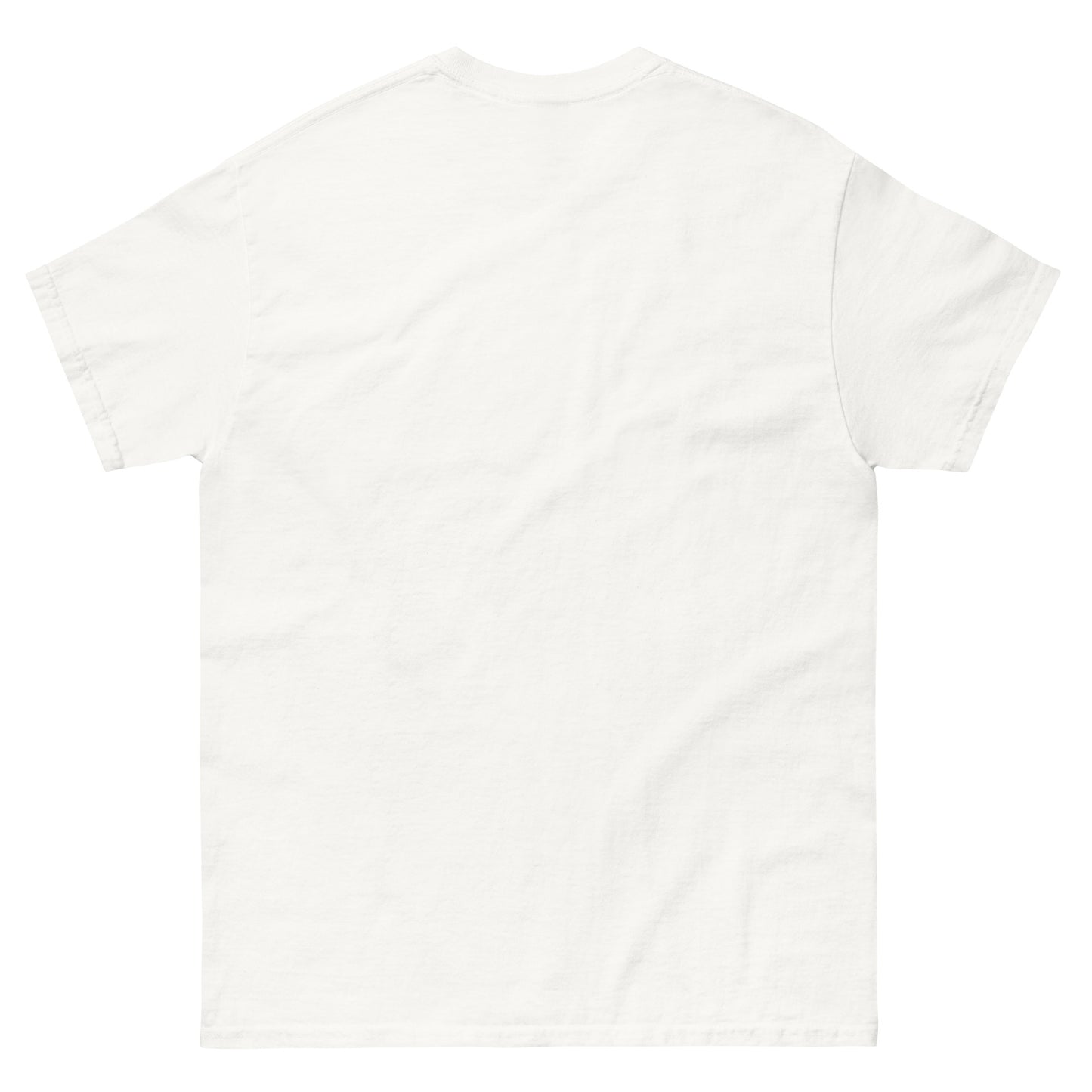 The D.L.S.M. classic tee